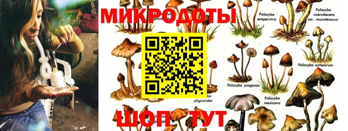Пермь  Галлюциногенные грибы Psilocybine cubensis  Вход с VPN  Псилоцибиновые грибы Cubensis 